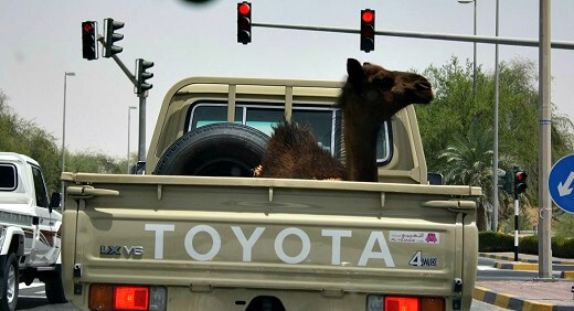 Tips για road trip